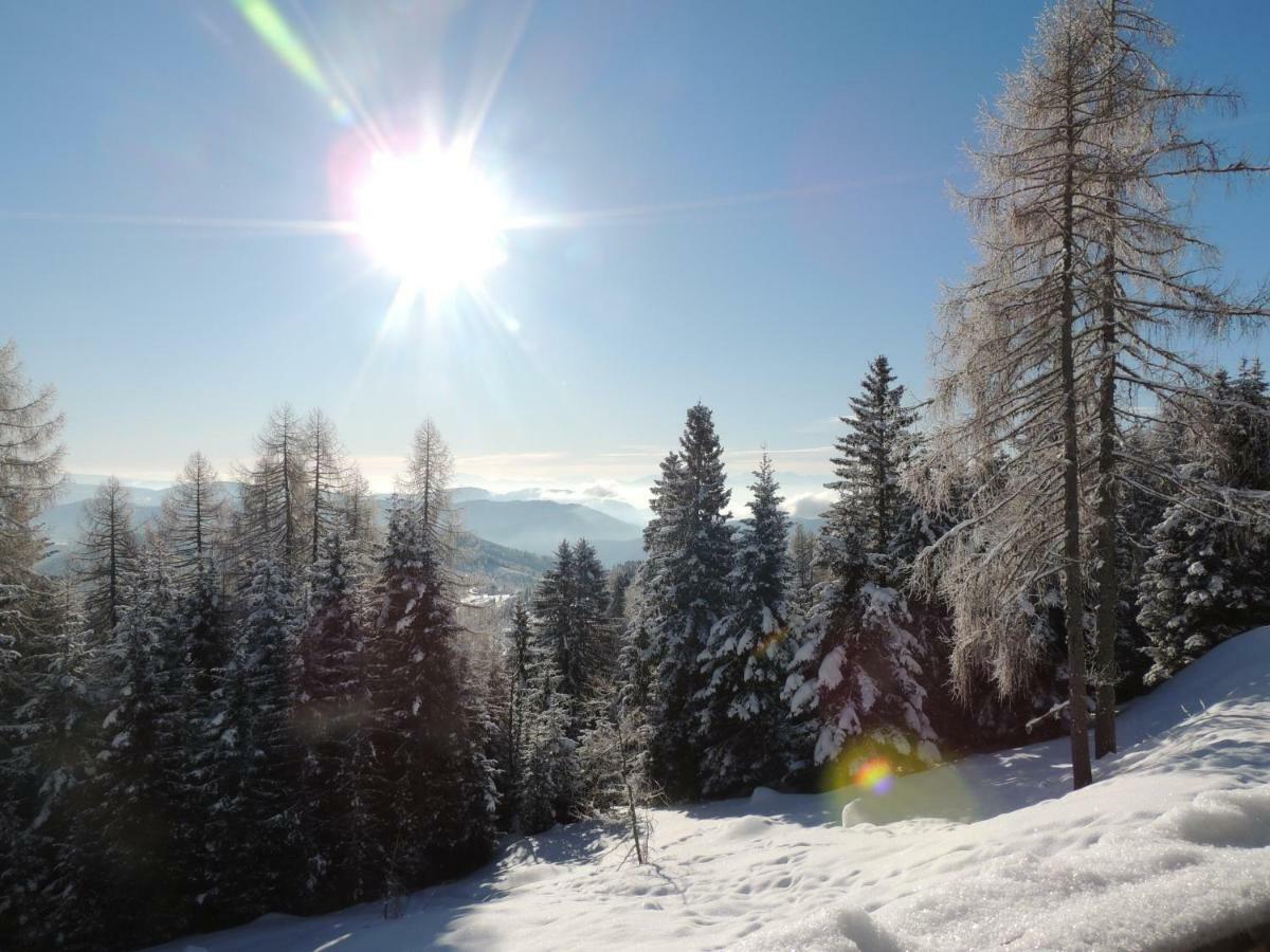 Villa-Alpenblick Hochrindl Kültér fotó